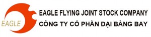 Eagle Flying JSC